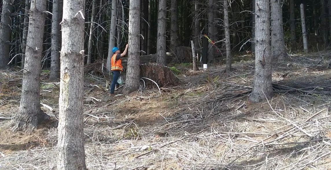 1OFr6uJdRBZr6FBDGleP