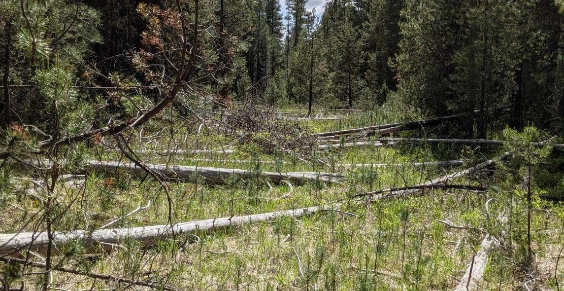 2rx9QhDur1NxgiIUnl7s