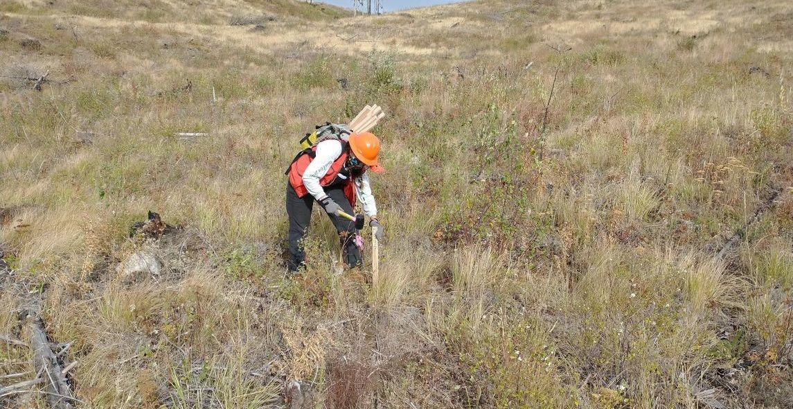 41Cllg5QvOlF84cTelhM