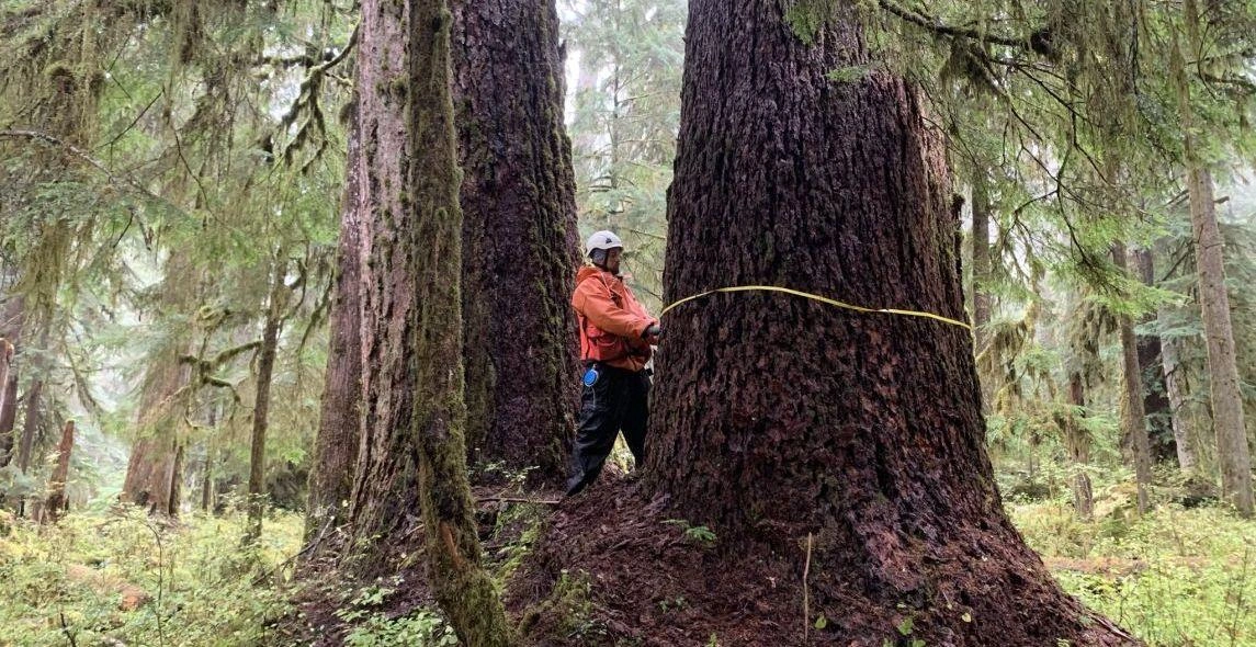 9icVPFUzMNaHlyFcTlV2