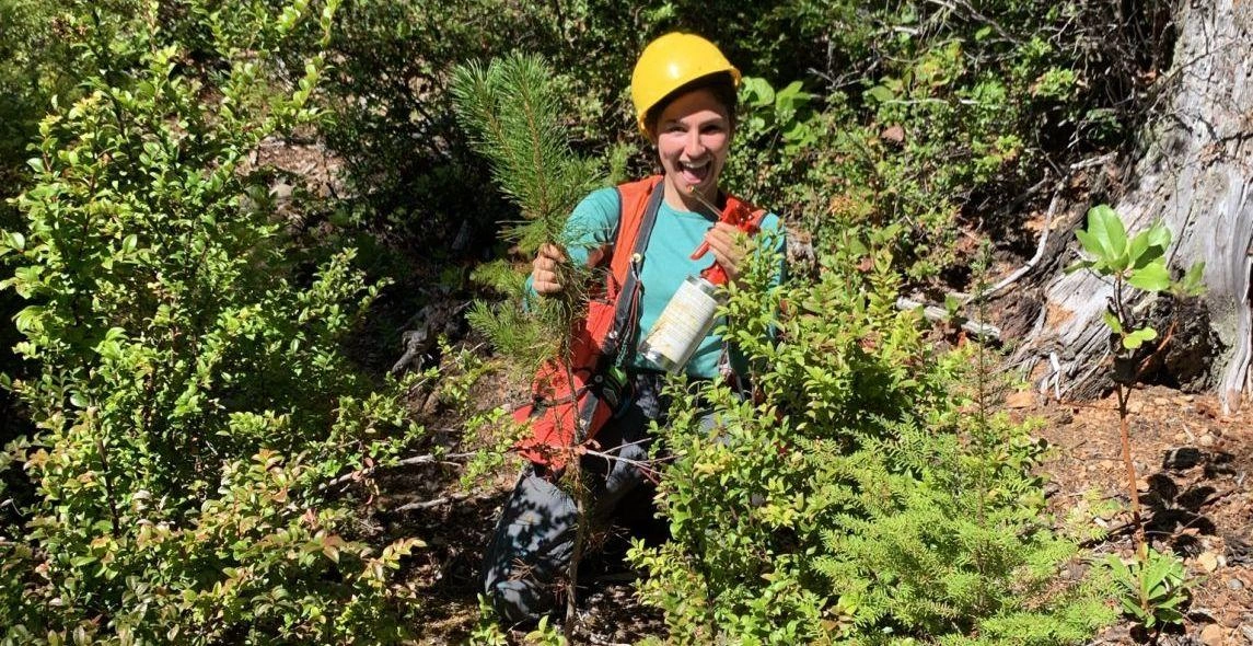 AwhsMZPBkTWRZF8Gfk35