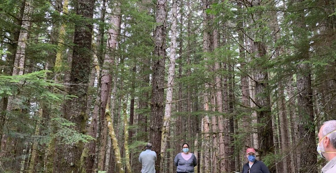 ChTyPPMXvEBikXZqiqiI