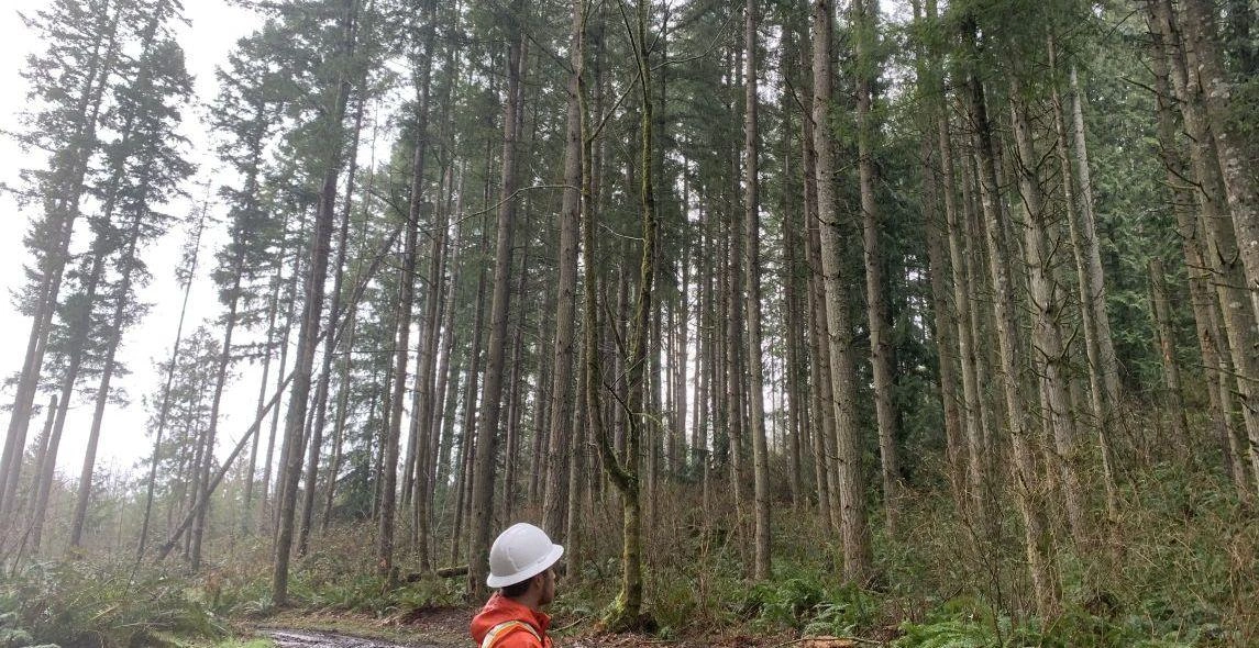 Gopoj4SucXon7dBv66ob