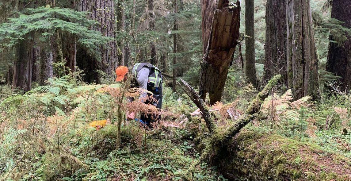 IVqlq0G2w5Amccpsq8Ts