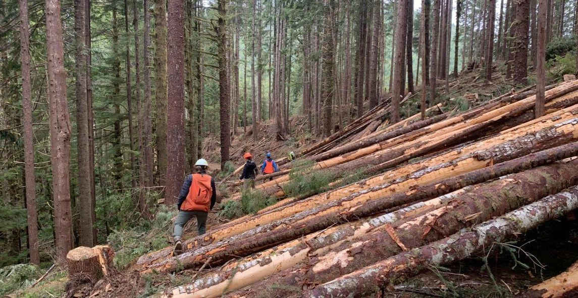 JOCLC5blaqJSLn8trLOB