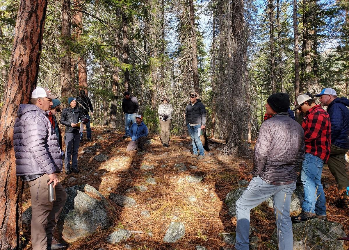 The Bridge From Landscapes to Stands – Resilient Forestry
