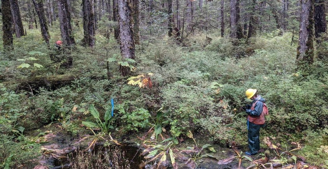 Rrh9MMwNnNdeWaNP3rjL