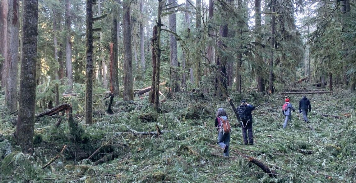 Ua8QhoH3NC3fojXnG9L1