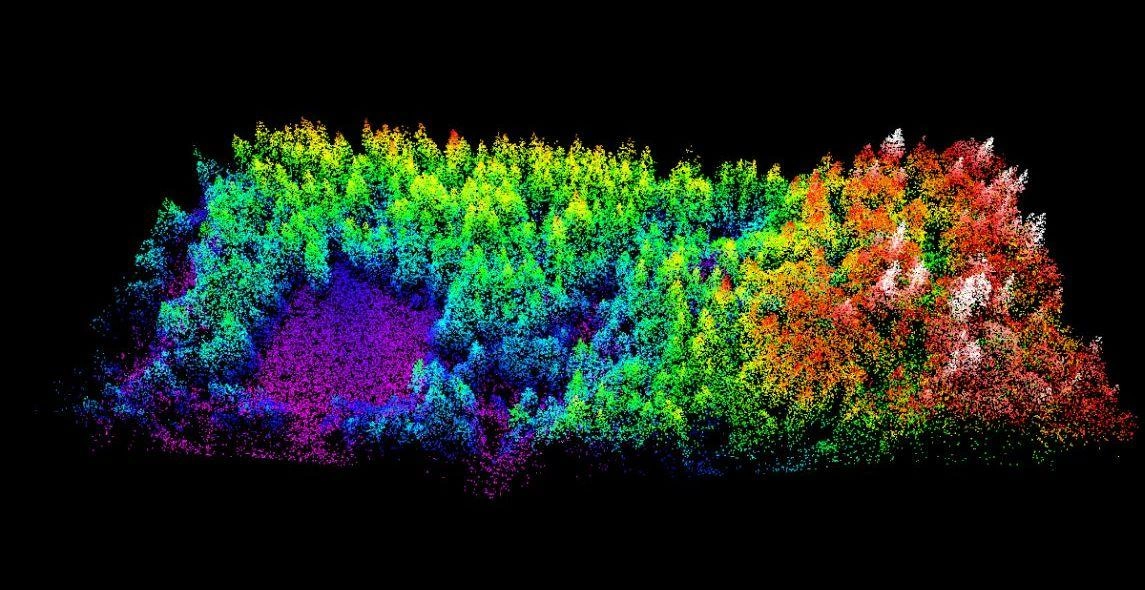 Wa52LHv0d5uyBo4W9dou