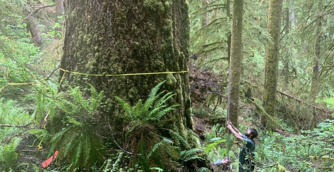 Wac01k0efwUceW1HHcDm