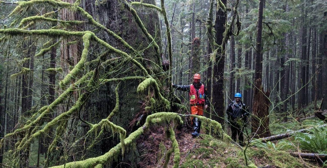 YNANjhzWb1N3havBoFZl