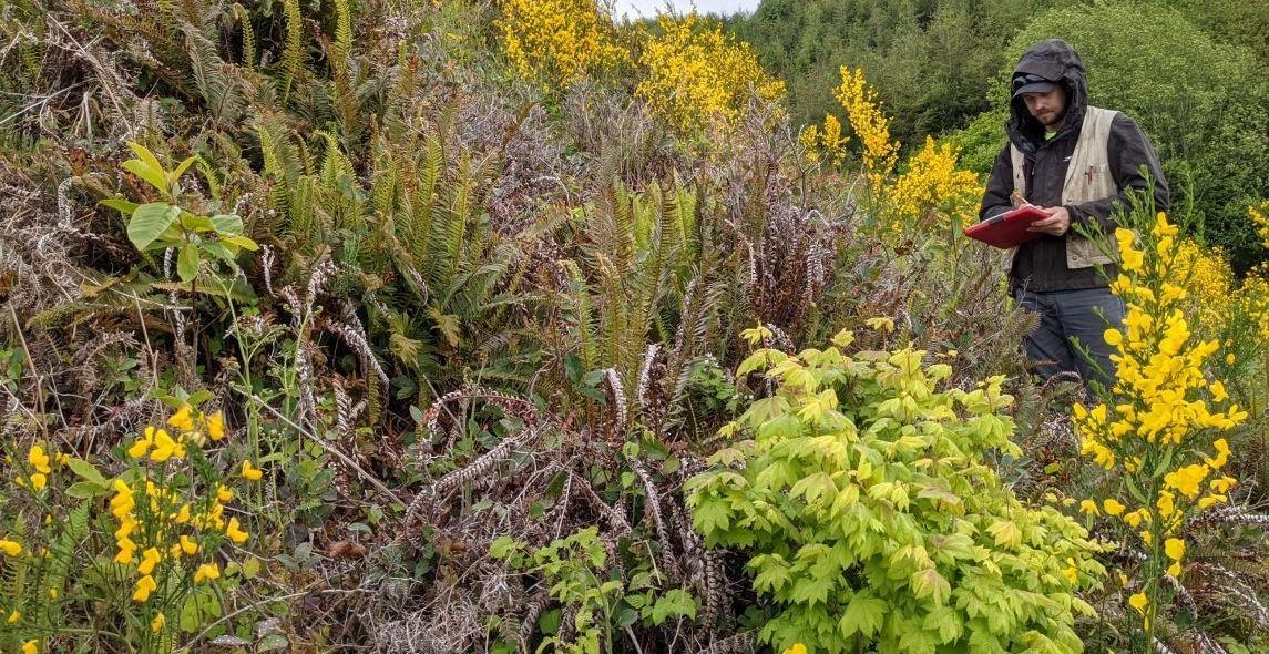 EvS0vEaSW97h145wlwgn