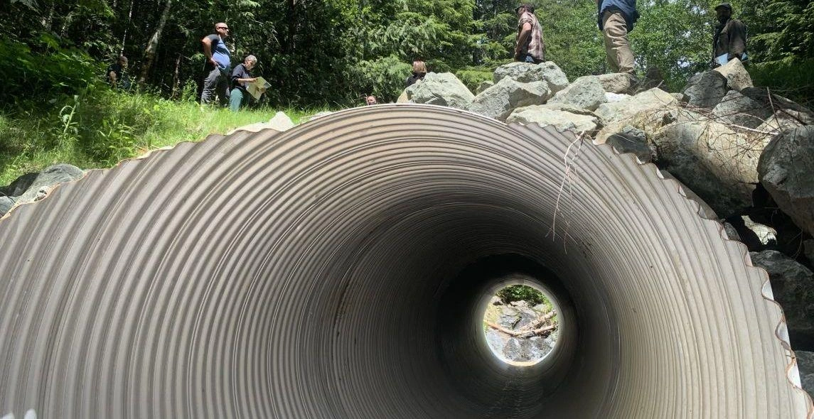 IpOGMrdtxYR5Bxv18njw