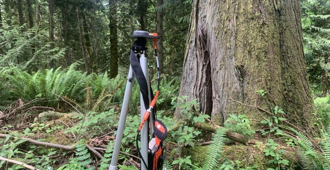 MAGU4UcbQC6ZissktCfC