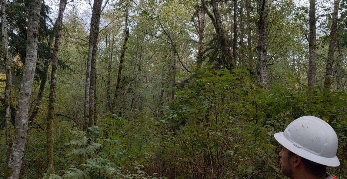 SdfsomAUoyhnX0j9EnLX