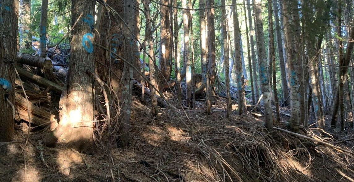 UQ9rM5U1x027MKP6OETZ