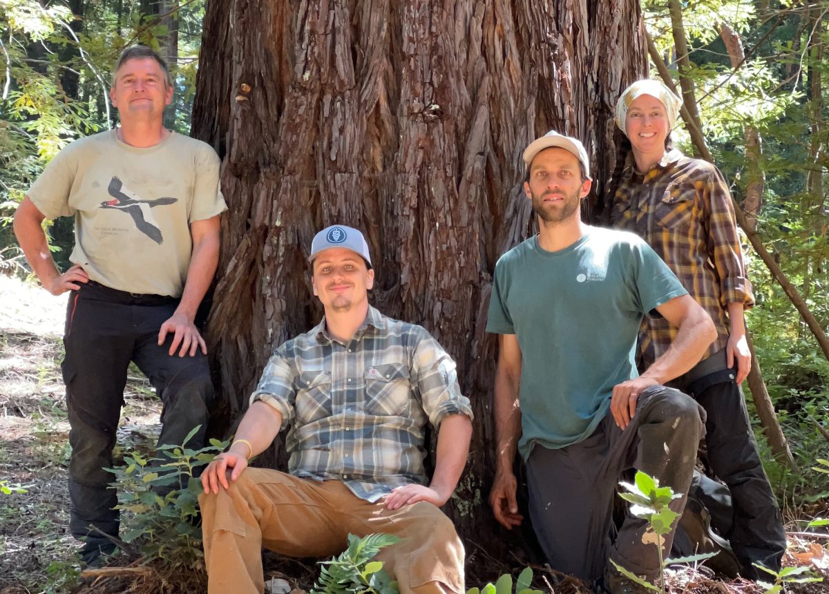 Steve Sillett, Miles LeFevre, Russell Kramer, and Marie Antoine posing next to a California redwood tree.