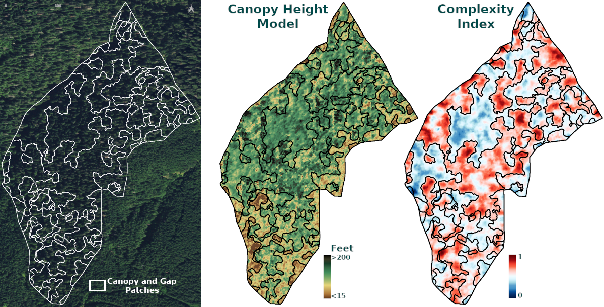 a canopy height model (CHM) built through aerial photogrammetry for a stand with old-growth characteristics in western Washington.