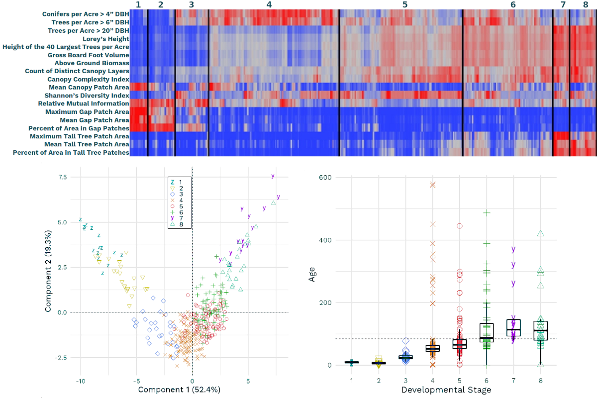 The metrics heatmap (top) indicates the optimal grouping of stands into developmental stages based on the metrics values (more red = greater values). The scatterplot (bottom left) shows the stages arranged along a developmental gradient (1 = youngest, 8 = oldest). The boxplot shows the relationship between stand age and the developmental stages as a form of qualitative validation of the classification.
