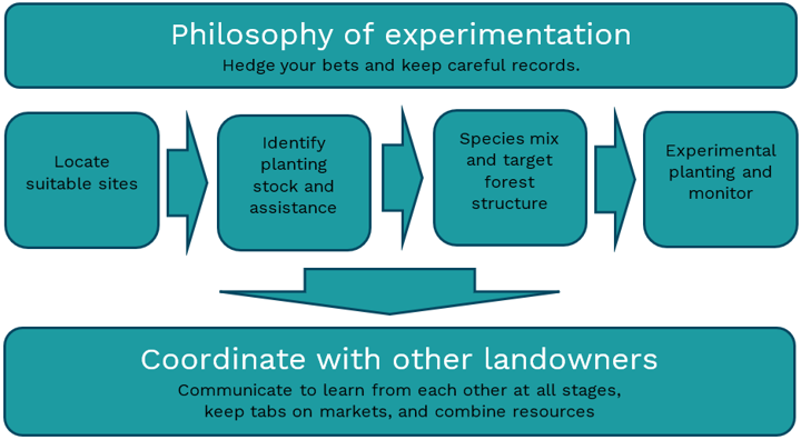 Image 2 Strategy Diagram
